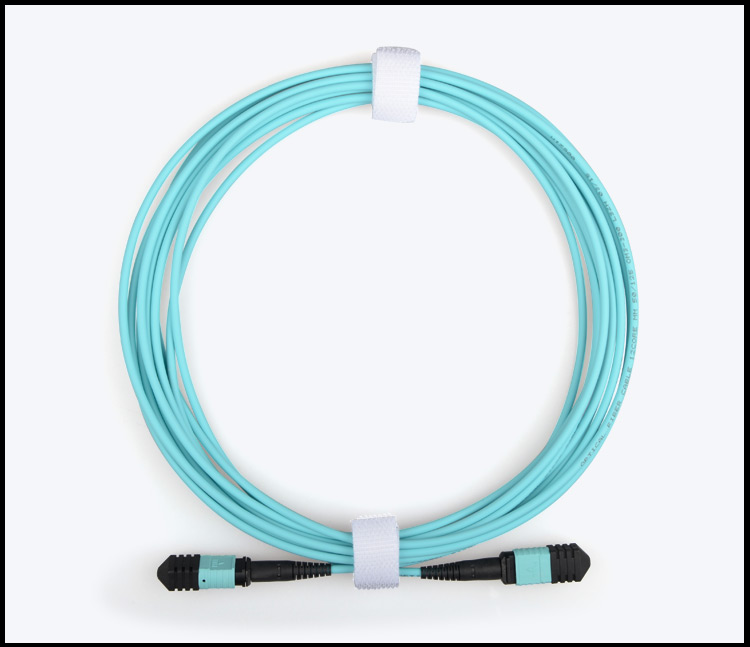 Fiber patch cord 12 CORE MPO-MTP MM OM3_2