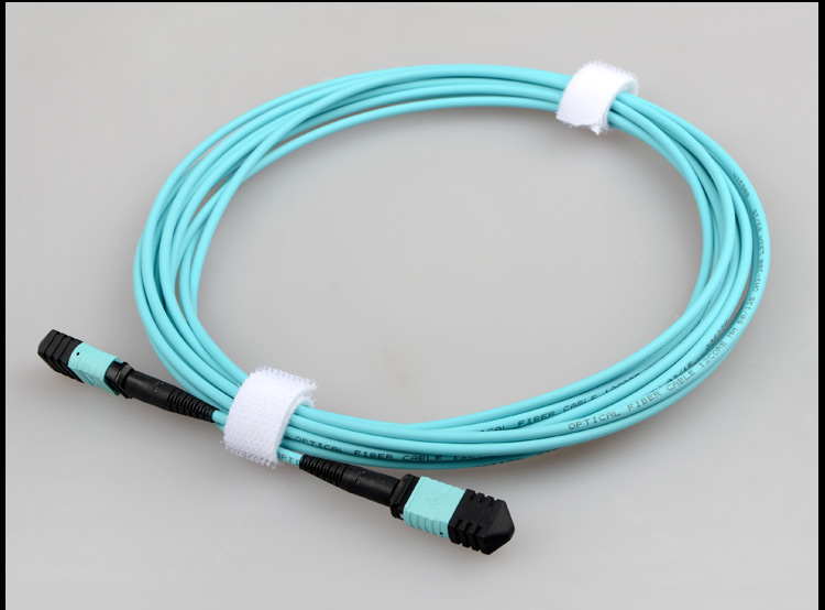 Fiber patch cord 12 CORE MPO-MTP MM OM3_3