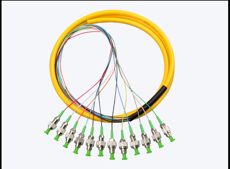 Fiber patch cord Pigtail 12 Core FC_APC SM_3