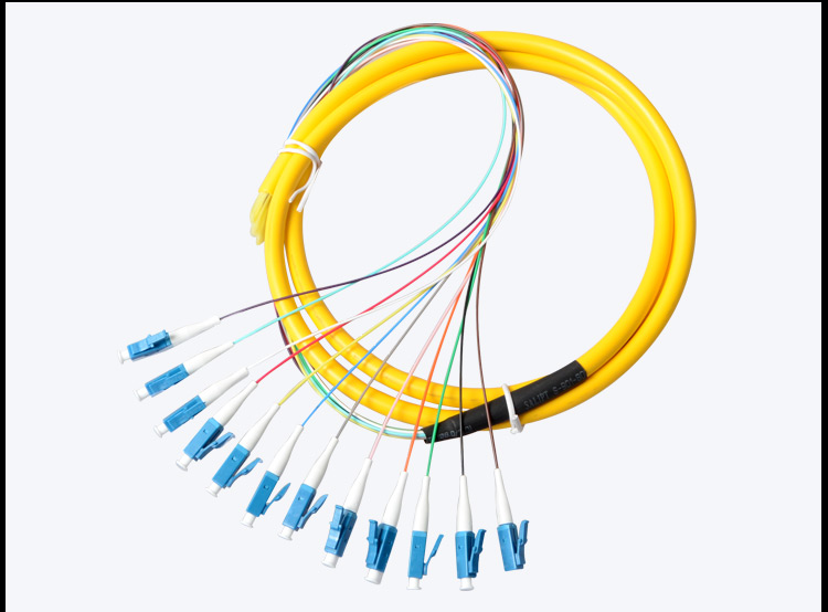 Fiber patch cord Pigtail 12 Core LC_UPC SM_3