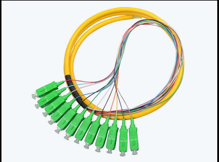 Fiber patch cord Pigtail 12 Core SC_APC SM_3
