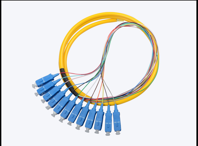 Fiber patch cord Pigtail 12 Core SC_UPC SM_3